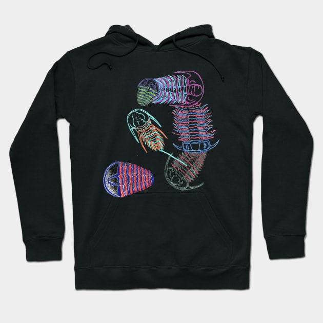 Cambrian Era Trilobites Hoodie by RaLiz